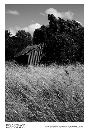 Old steel shack in hay field