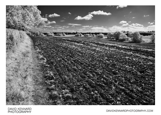 Ploughed field in Infrared B&W