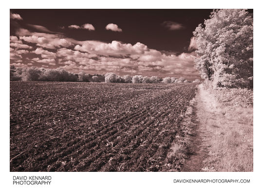 Ploughed field in Infrared