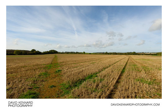 Path across harvested field near Harborough