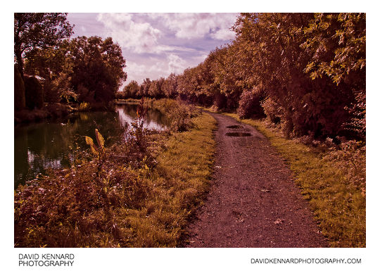 Grand Union Canal, Market Harborough (IR   visible)